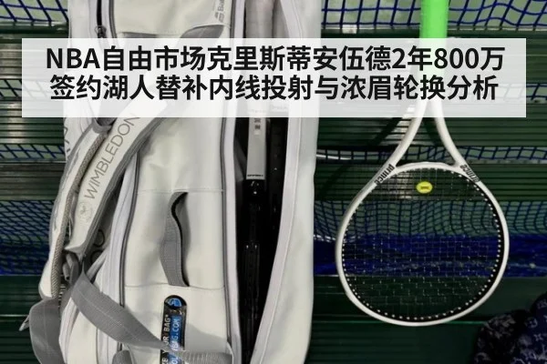 NBA自由市场克里斯蒂安伍德2年800万签约湖人替补内线投射与浓眉轮换分析